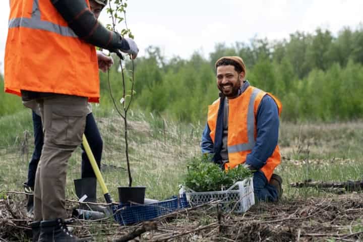 reforestation done by voluntary group 23 2149500814